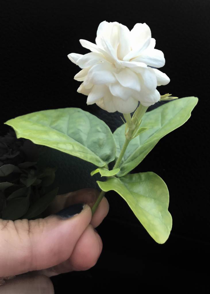 anna-gorseller-03-01-2026 (4)