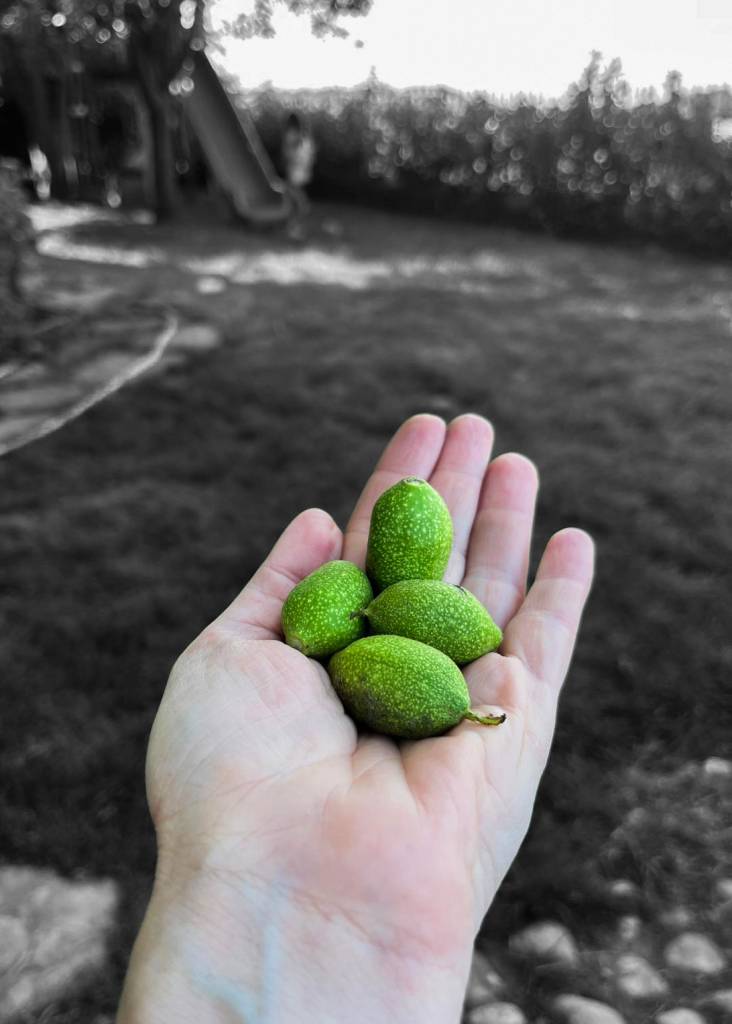 anna-gorseller-03-01-2026 (4)