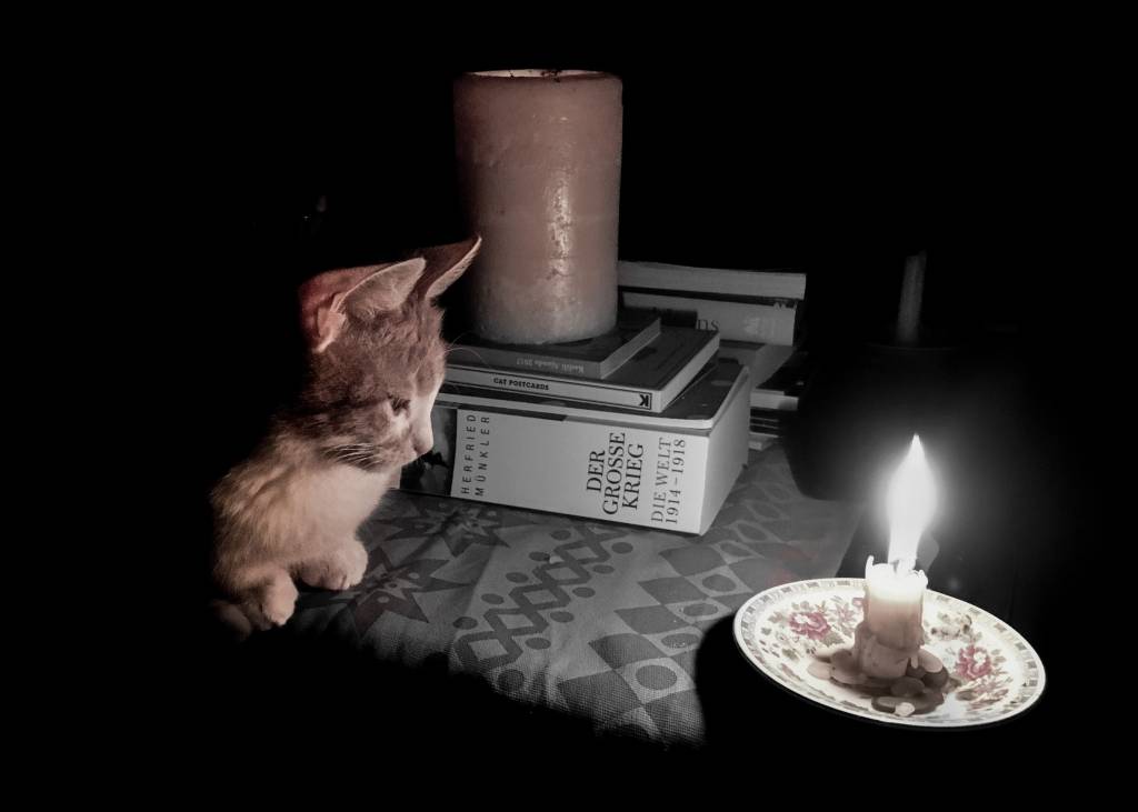 anna-gorseller-03-01-2026 (5)