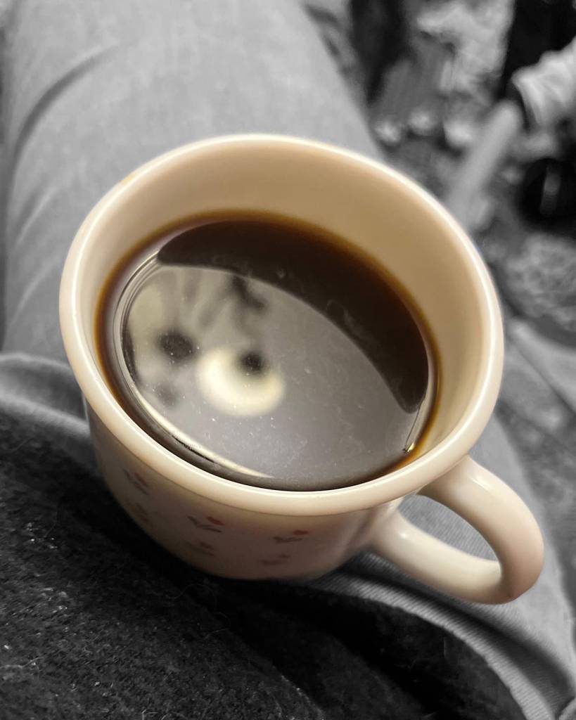 anna-gorseller-03-01-2026 (6)