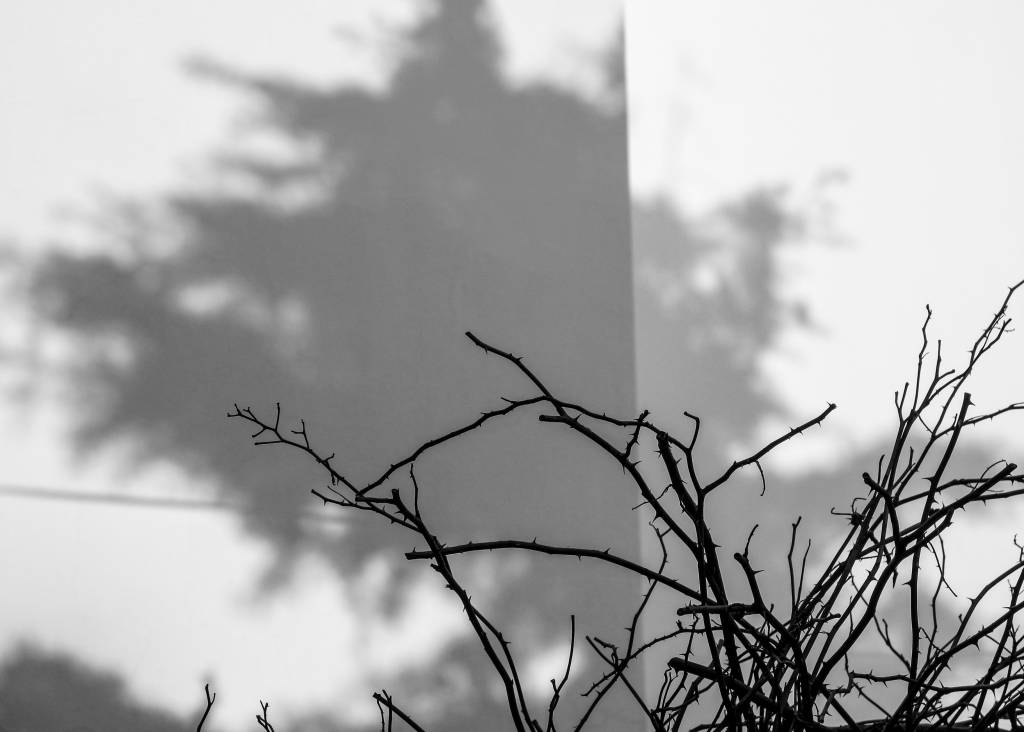 anna-gorseller-03-01-2026 (7)