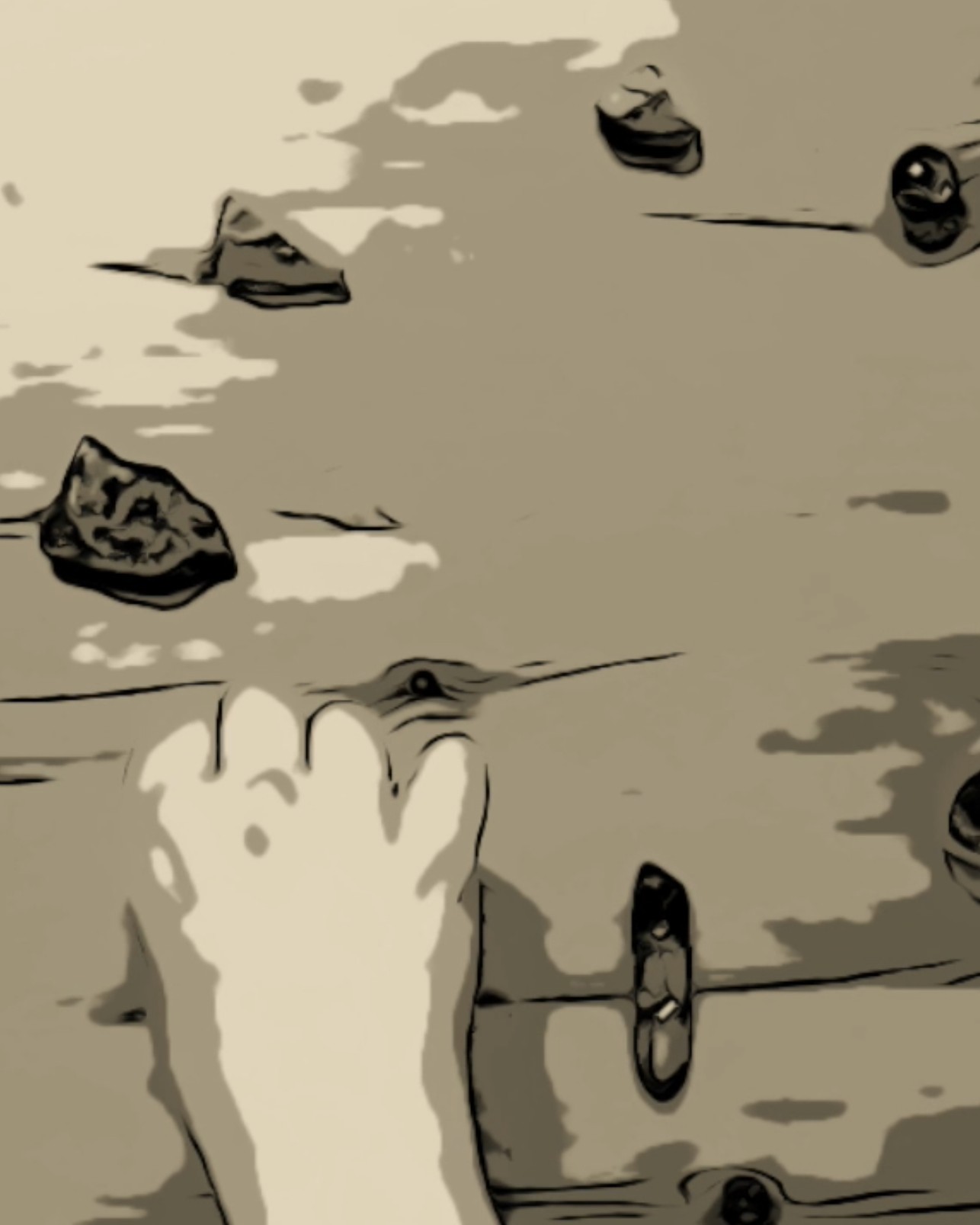 karel-gorseller-sol-serit (2)